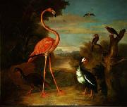 Jakob Bogdani Flamingo and Other Birds in a Landscape china oil painting reproduction